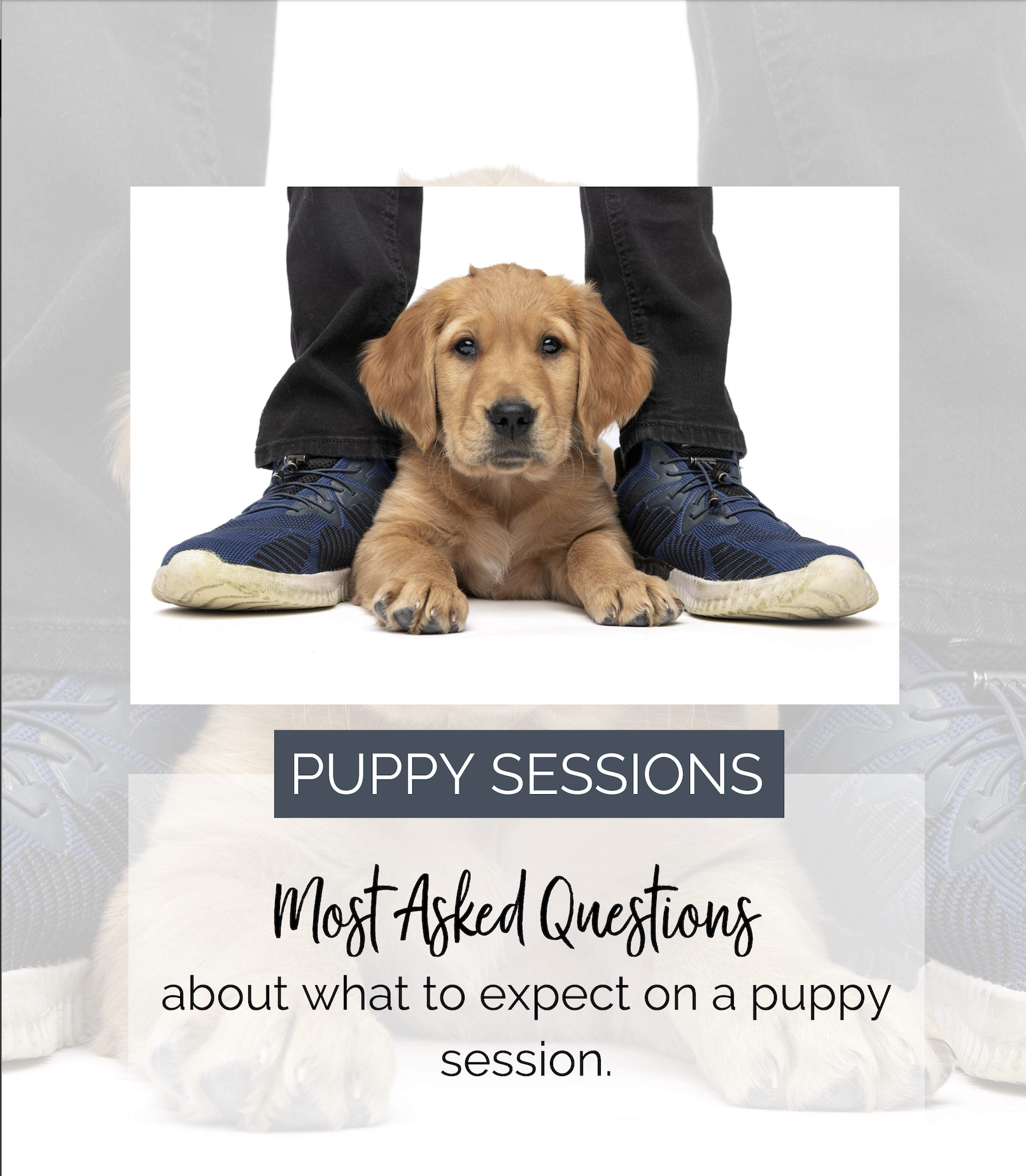 golden retriever puppy laying down in between a boys legs and shoes